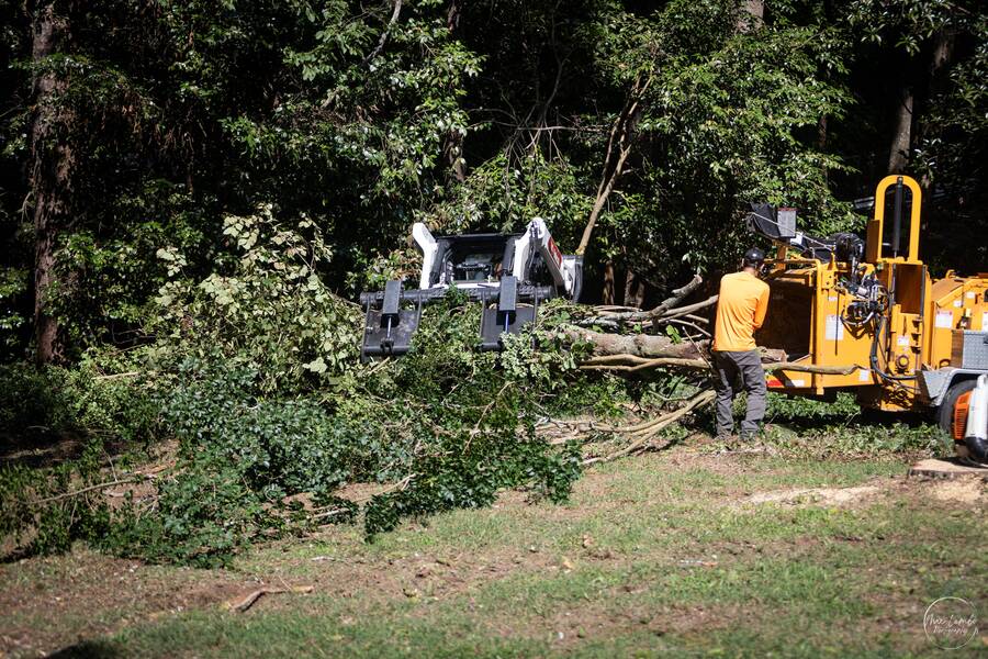 Emergency Tree Service